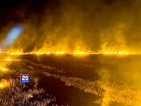 Недопалок, багаття, недбалість: чому на Вінниччині згоріло понад 6 гектарів