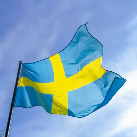 Швеція дає Україні ще $28 млн: половина піде на зброю зі США
