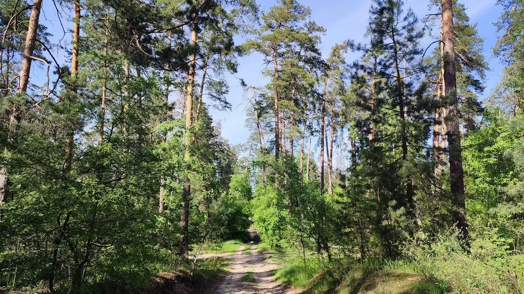 На Черкащині до кінця серпня діятиме надзвичайна пожежна небезпека