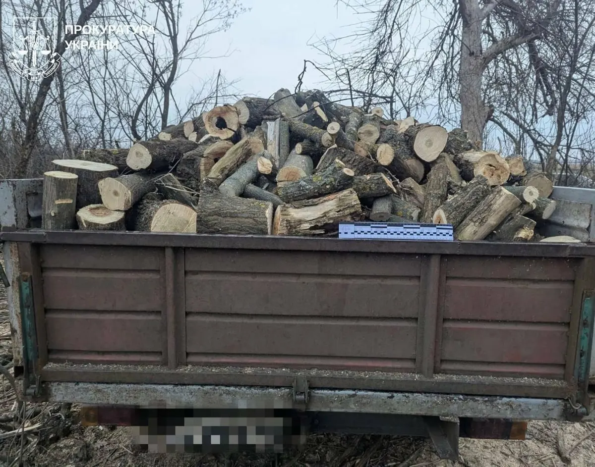На Харківщині за незаконну вирубку 42 дерев судитимуть чоловіка