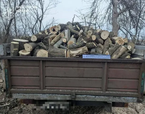На Харківщині за незаконну вирубку 42 дерев судитимуть чоловіка