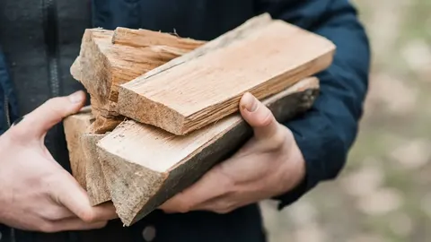 Пенсіонери лісової галузі можуть отримати 8 тисяч гривень на дрова: умови