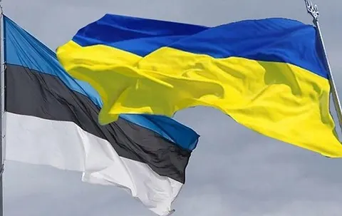 Естонія дала Україні понад 300 тисяч євро на зимову підготовку