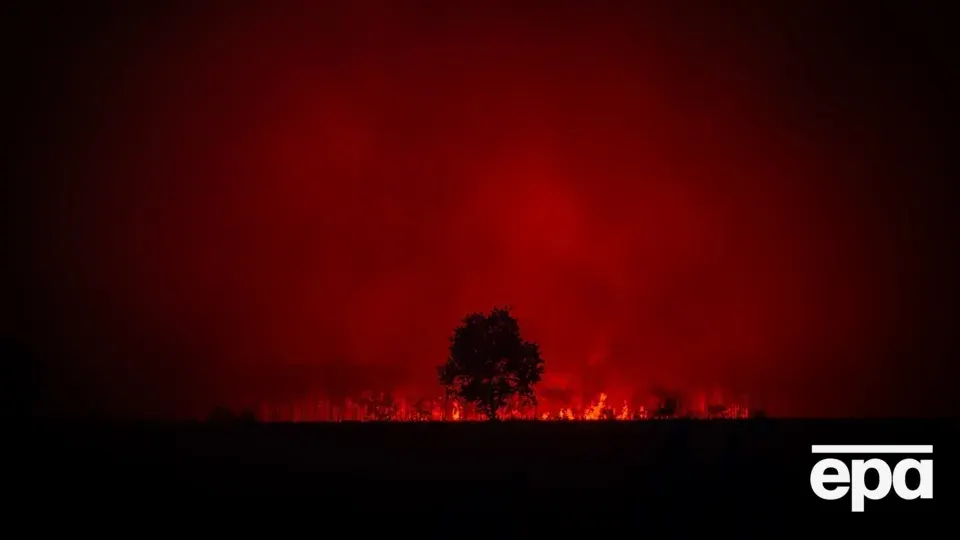 Франція у вогні: пожежі знищили територію розміром з Ліхтенштейн