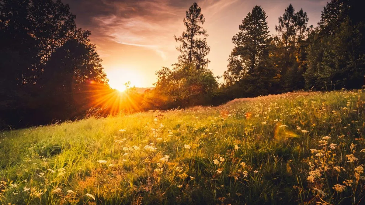 Спека +35°C повертається: прогноз погоди на вихідні