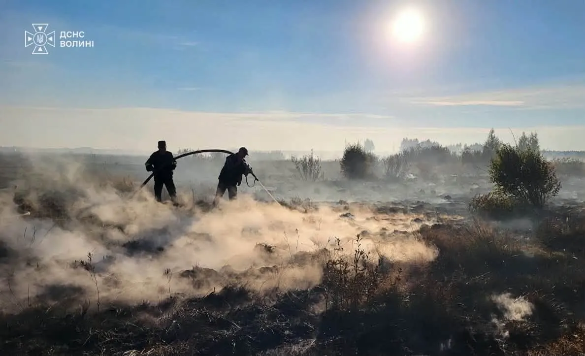 Торфовище горить другий день: що відомо про пожежі на Волині