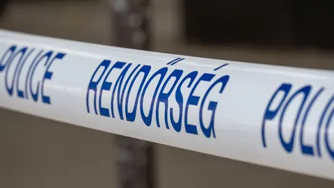 В Угорщині автобус з польськими номерами перекинувся: 12 загиблих