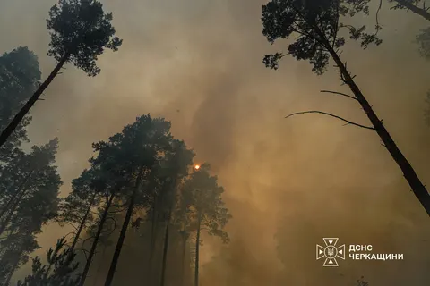 У Золотоноші через лісову пожежу радять зачинити вікна: що відомо