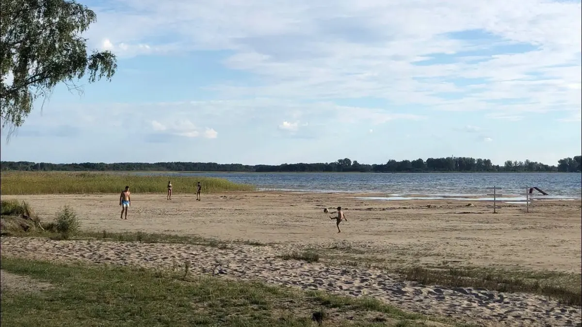 Світязь міліє: в урочищі Гряда вода відступила, оголивши дно