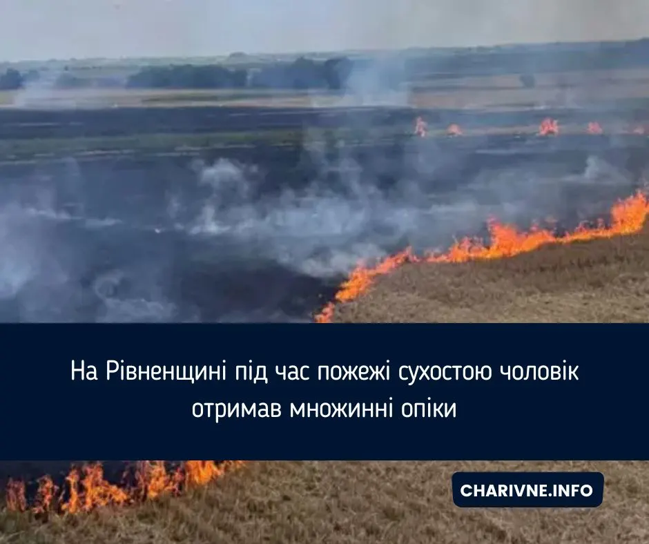 На Рівненщині чоловік дістав множинні опіки під час пожежі в полі