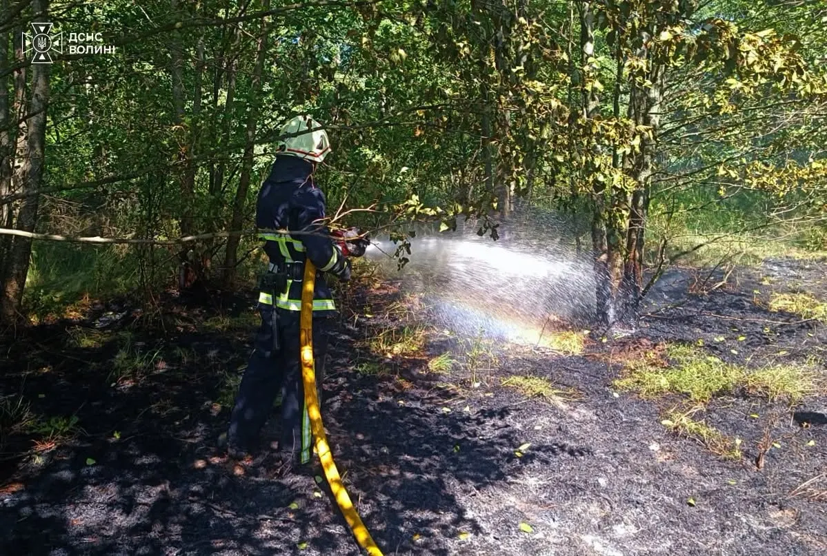 На Волині за день вигоріло майже 2 гектари сухостою
