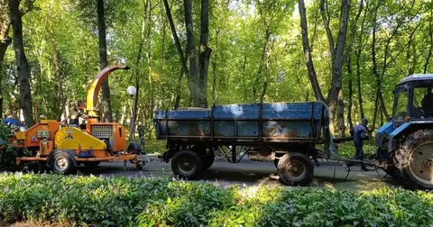 У Центральному парку Вінниці прибирали двічі: хто долучився до толоки