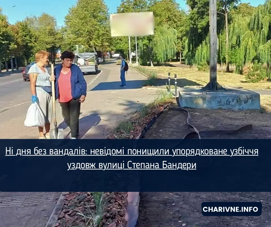 У Рівному вандали знищили щойно впорядковану клумбу на Бандери