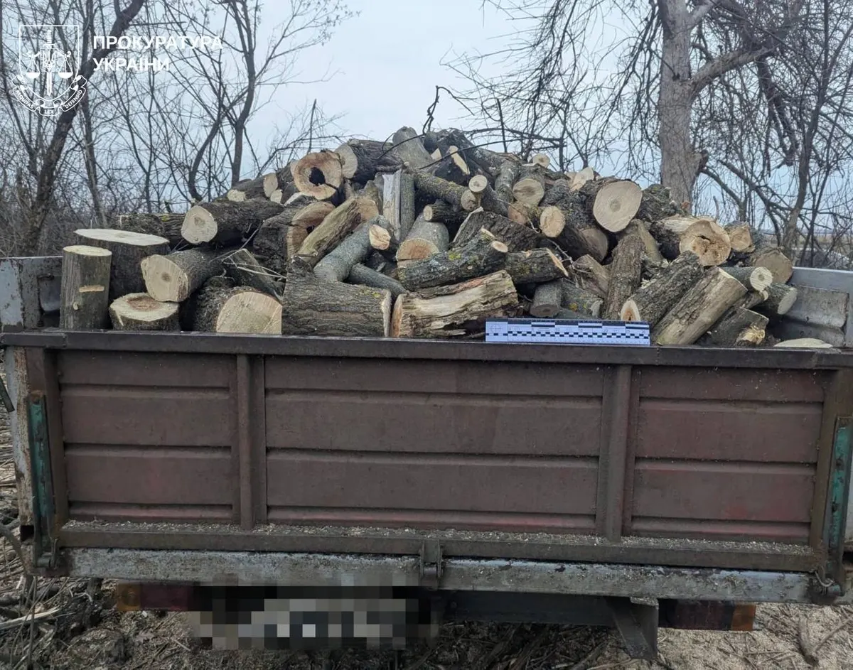 На Харківщині чоловік вирубав 42 дерева у лісосмузі: збитків на пів мільйона