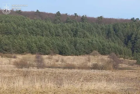 Прокуратура змусила міськраду на Львівщині визнати 81 га самозалісеними