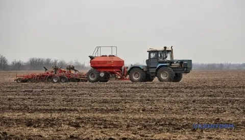 Озима посівна набирає обертів: зерновими засіяно 14% площ, ріпаком — майже 87%