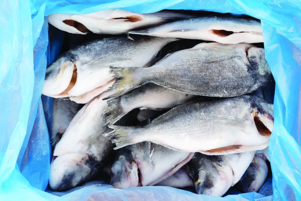 Морожена риба в Україні подорожчала: кілограм уже майже 265 гривень