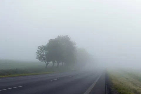 Тернопільщину накриє туман: видимість впаде до 200 метрів
