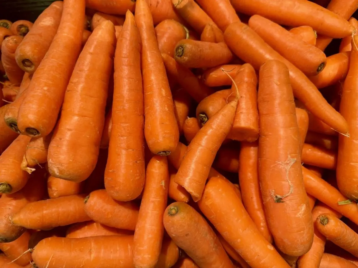 Морква дешевшає шостий тиждень поспіль: ціни в магазинах