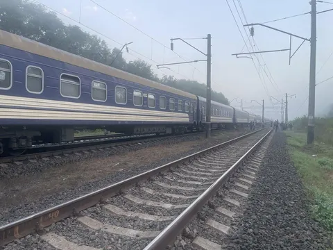 Потяг із Дніпра застряг у посадці: пасажири побачили біля вагонів підозрілі кущі