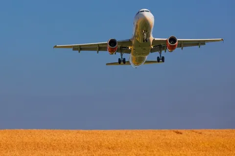 Крісла в Boeing 737 MAX можуть зірватися під час турбулентності: що відомо