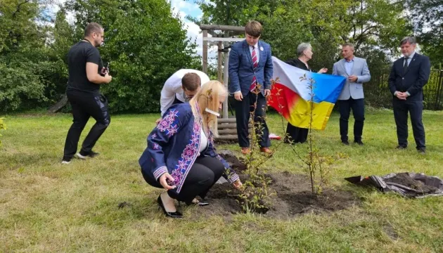 У Вроцлаві заклали Сквер українсько-польської дружби: перші дерева вже висадили