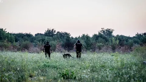 На полігоні під Хмельницьким тривають пошуки: кінологи працюють зранку, щоб уник