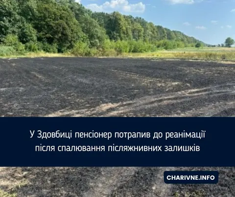 Пенсіонер у реанімації: спалив стерню й надихався чадним газом