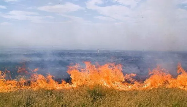 В «Асканії-Новій» з 22 червня вигоріли майже 4,3 тисячі гектара заповідного степу