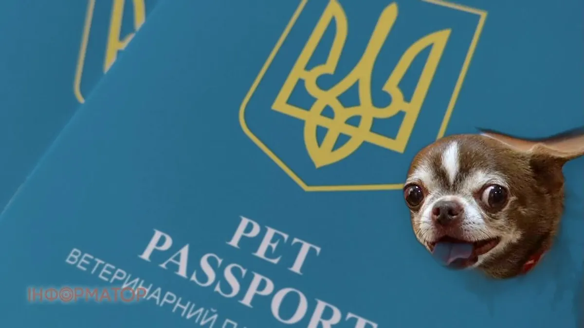 Ветпаспорти нового зразка: що змінилося для власників тварин