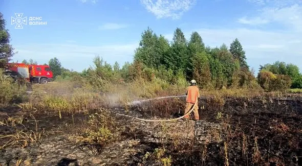 На Волині за добу вигоріло 3 гектари сухостою: одного палія спіймали