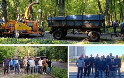 Дві толоки в Центральному парку Вінниці: 75 людей прибрали сухе гілля