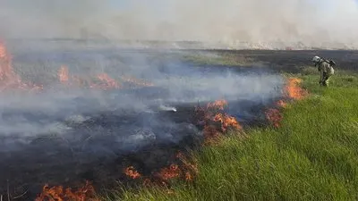 Понад 900 пожеж в екосистемах: на Дніпропетровщині літо видалося гарячим