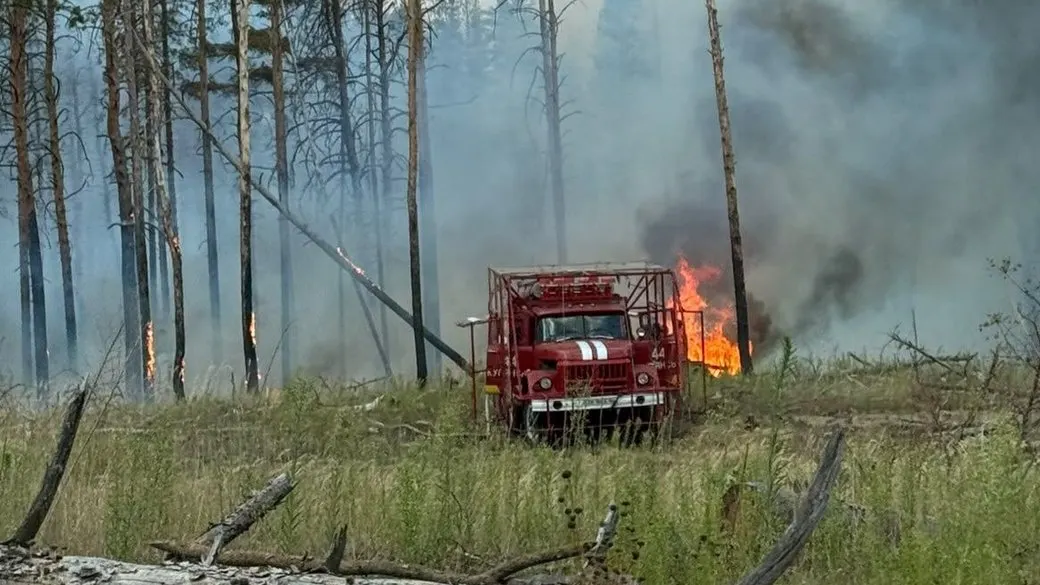 Під Ізюмом третій день гасять три лісові пожежі: що відомо