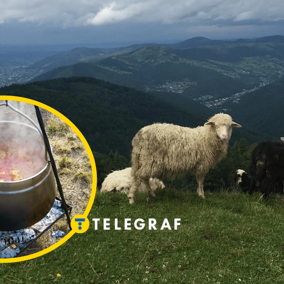 Бограч: карпатська страва, яку туристи не можуть забути