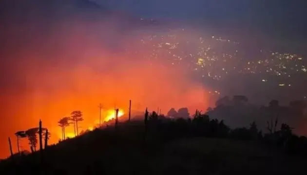 У Ялті п'ятий день гасять лісову пожежу: шукають добровольців
