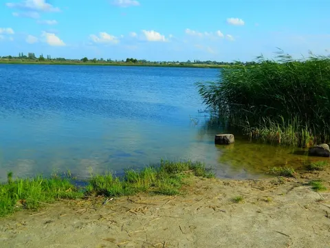 Бірюзове диво Волині: льодовикове озеро з молочною водою ховається біля траси