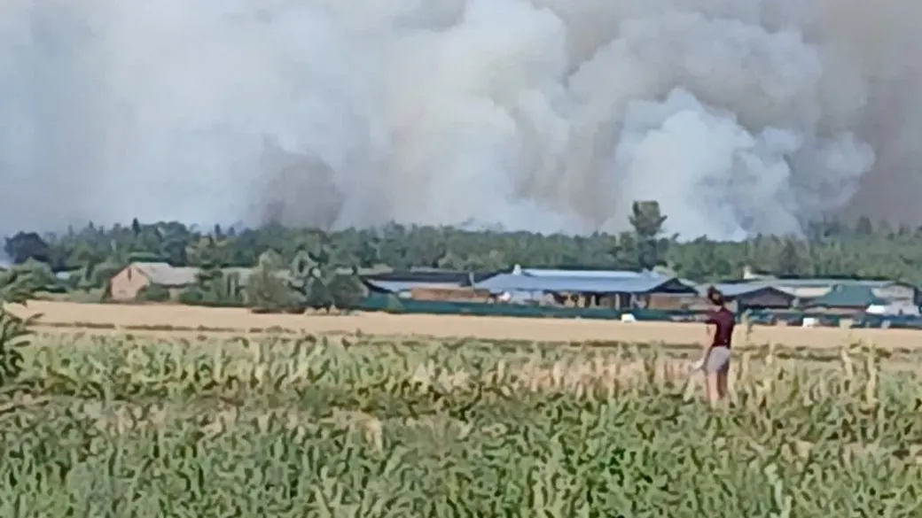 На Черкащині масштабна пожежа: вогонь знищив будівлі та охопив ліс