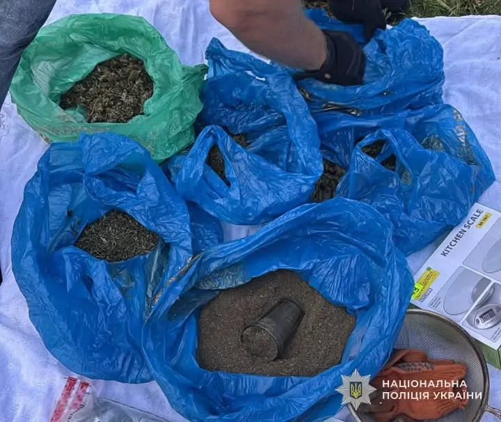 На Львівщині судитимуть 53-річного чоловіка: коноплі в чагарниках, канабіс і пістолет