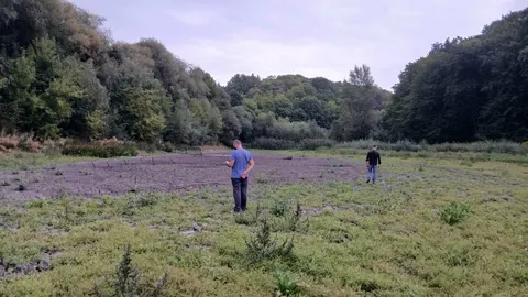 На Тернопільщині повністю висох ставок у селі Борщівка