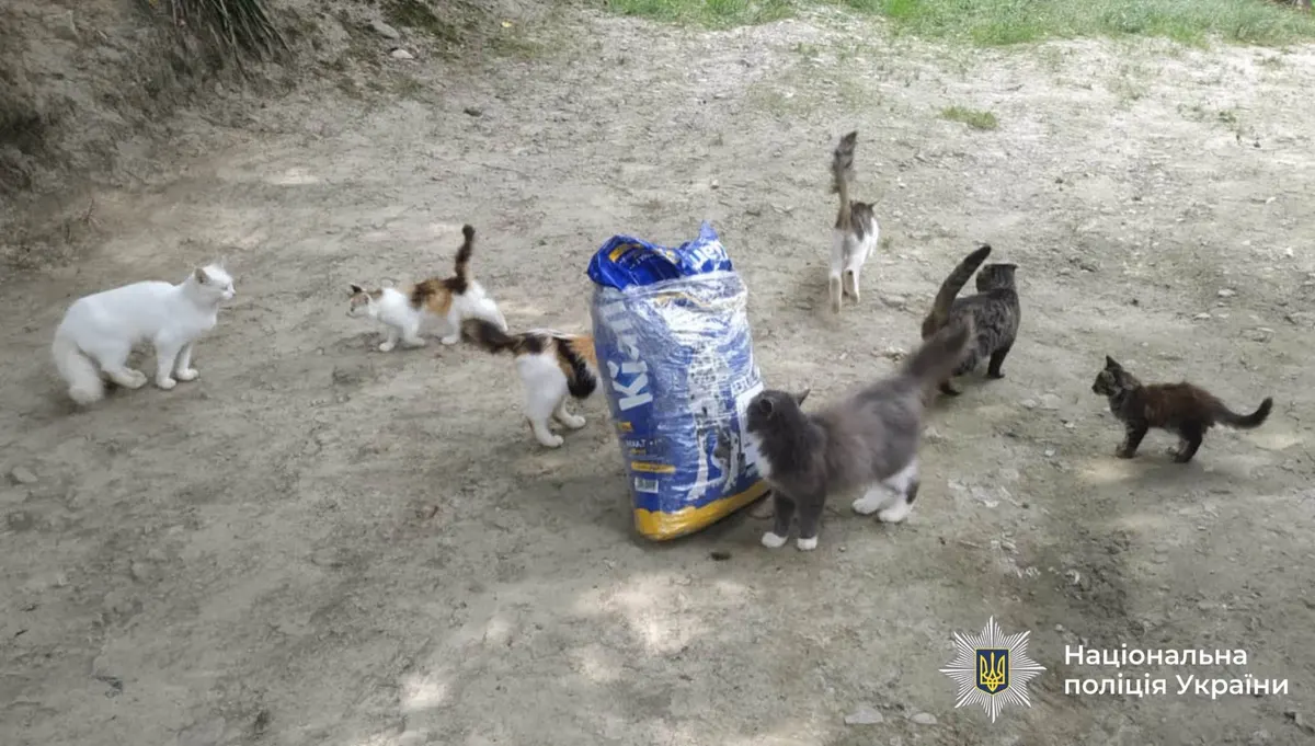 На Косівщині перевірили господарство через відео з котом у клітці