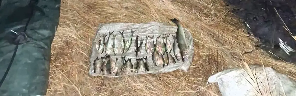 Браконьєр на Березанському лимані: майже 60 тисяч збитків за один вихід на воду