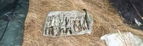 Браконьєр на Березанському лимані: майже 60 тисяч збитків за один вихід на воду