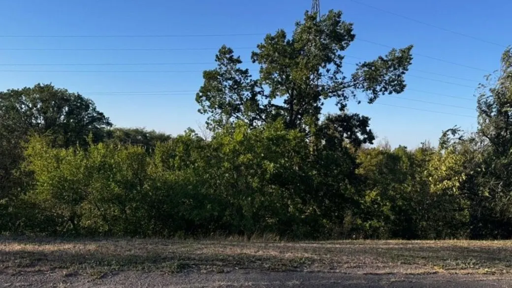 На Дніпропетровщині судитимуть чоловіка, який засіяв соняшником прибережну смугу