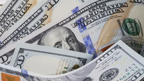 Резерви України трохи схудли, але за рік підросли на 19%