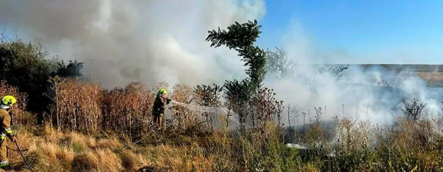 На Миколаївщині за добу згоріло понад 43 гектари: що відомо