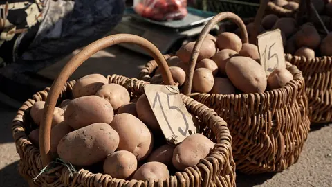 Картопля на Чернігівщині: ціни, врожай та прогнози на зиму