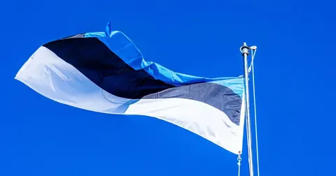 Естонія вислала росіянина, який погрожував українцям, і заборонила в'їзд на 10 р