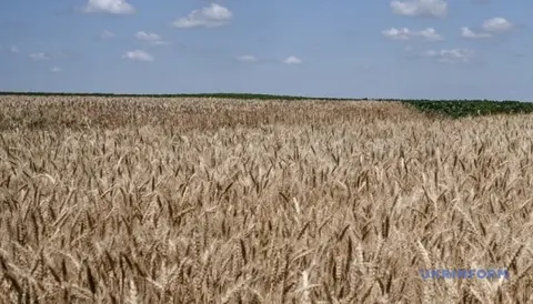 Світові ціни на їжу злетіли до максимуму з 2022 року: що сталося