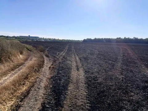 Спалив стерню біля Арбузинки: екоінспектори виписали штраф
